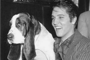 BOMBĂ! S-a aflat ACUM: Din ce cauză a murit Elvis Presley? Cine ar fi crezut că AȘA CEVA poate să UCIDĂ