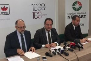 Vor Bihorul bilingv: Formaţiunile maghiare din România cer statut special administrativ pentru regiunea Partium