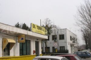 Oil Terminal, declaratii de avere: Florin Fanel Enache detine, impreuna cu sotia, doua terenuri intravilane, o casa de vacanta si un Logan castigat la tombola (documente) 