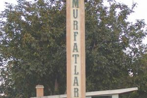 Firme Constanta, rezultate financiare Murfatlar Romania, cifra de afaceri in scadere semificativa fata de anul de referinta anterior. Un an pe profit, unul pe pierdere (document)