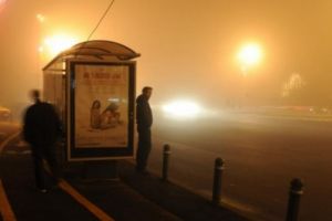 Atentie, soferi! COD GALBEN de ceaţă in Prahova
