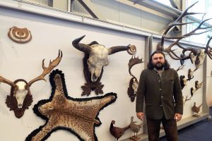 Efectivele de animale sălbatice cresc, toleranţa faţă de ele scade