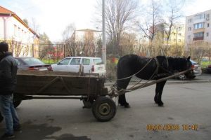 Inca o caruta care circula in Timisoara a fost ridicata de politisti. Proprietarul a fost amendat