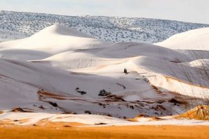 FOTO A nins în Sahara. A treia oară în 40 de ani