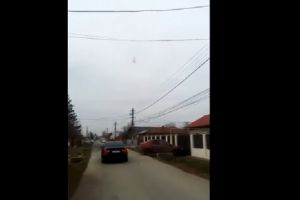 Imagini şocante într-o comună din Prahova. Un caine a fost aruncat pe cablurile electrice. VIDEO