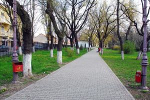 Bustul contelui Rhédey Lajos va fi amplasat în parcul Bălcescu, care i-a purtat cândva numele