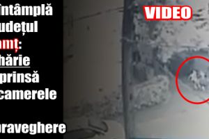 Se întâmplă în Neamţ: Tâlhărie surprinsă de camerele de supraveghere