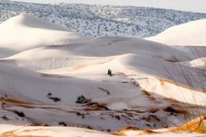 A NINS în deşertul SAHARA! Imagini incredibile!
