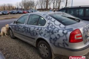 Un dejean şi-a găsit maşina vandalizată a treia oară - FOTO