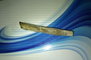 Tineri prinsi de politistii locali in timp ce consumau etnobotanice, la Timisoara