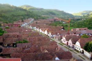 O familie întreagă din Aţel trimisă în judecată. Au ”secat” APIA de aproape 600.000 de lei