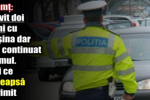 O şoferiţă din Neamţ a lovit doi câini cu maşina dar şi-a continuat drumul. Vezi ce pedeapsă a primit