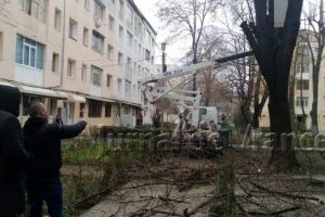 FOTO: Vremea caldă permite toaletarea arborilor din Focşani