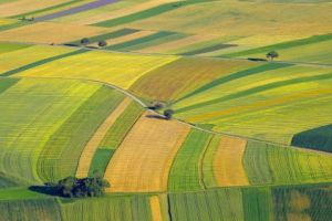 Ortoplanuri noi pentru aproape 100.000 kmp