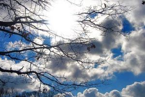 Vreme relativ caldă, pentru următoarele două săptămâni