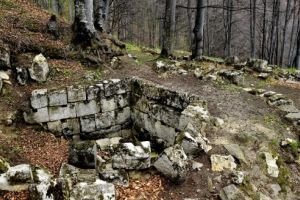 Singura soluţie pentru Sarmizegetusa Regia: defrişare amplă