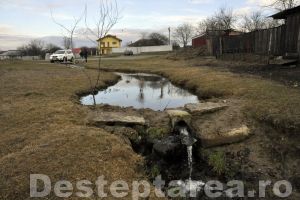 Dresul cu apă de izvor (II)