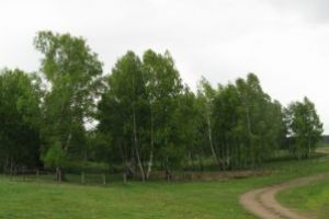 Aviz negativ pentru DC 16A, dintre Ozun şi Măgheruş