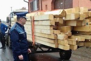 Căruţă plină cu lemne oprită de poliţişti la Șura Mică