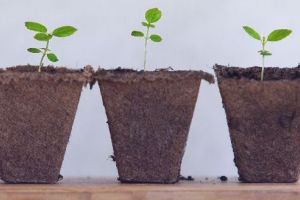 Oferta pieţei de muncă la început de 2018