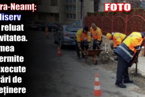 Piatra-Neamţ: Publiserv şi-a reluat lucrările de întreţinere a oraşului