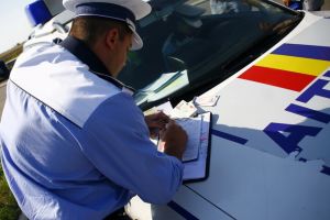 Șofer amendat pentru că nu avea acte pentru boul din portbagaj