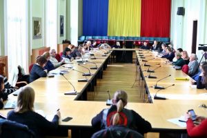 Dezbatere pe proiectele culturale: Incercati sa va axati pe actiuni de impact pentru judetul Timis