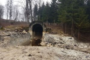 ”Starea Sîngeorzului”: ”Trăim într-o văgăună!”. Ce apel a făcut primarul