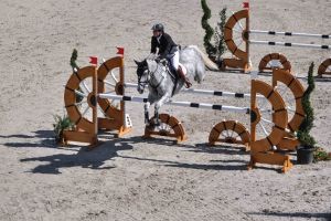 Jocheii romani au obtinut doua victorii la turneul hipic international de la Herneacova