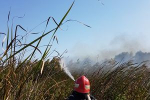 Incendiu de amploare in Delta Dunarii. Aproximativ 10 hectare de stuf mistuite de flacari (galerie foto) 