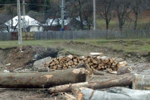 Lemnul de foc, un lux pentru mulţi băcăuani