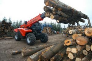 Amenzi de peste 440.000 de lei aplicate anul trecut de Garda de Mediu