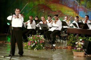 Ansamblul Transilvania, obligat sa plateasca salariile restante pentru un violonist dat afara nejustificat