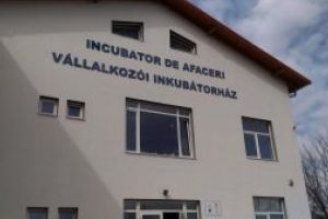 Două clustere cu sediul la Incubatorul de Afaceri din Sfântu Gheorghe au participat la o misiune economică în Thailanda, ca membre ale delegaţiei europene