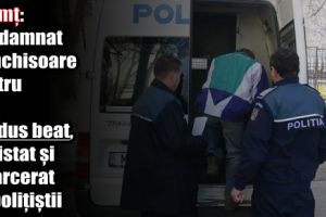 Neamţ: Condamnat la închisoare pentru că a condus beat, depistat şi încarcerat de poliţiştii