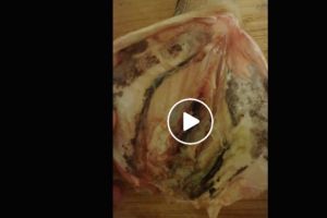 Peste stricat, vandut la Lidl. Clienta, o mamicã: 