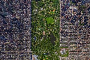 De la cine şi DE CE vrea oraşul New York DESPĂGUBIRI