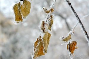 România, lovită de un val de aer polar. Cum va fi vremea în perioada următoare