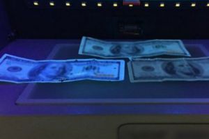 BANI FALȘI. Cum faci deosebirea. O demonstraţie a POLIȚIEI DE FRONTIERĂ