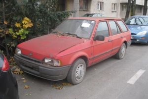 Aproape 500 de rable ridicate de pe strazile Timisoarei in 2017