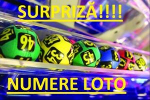 REZULTATE LOTO 11 ianuarie, numerele loto 11.01.2018