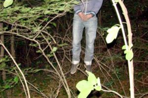 S-a spânzurat în livadă