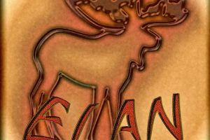 Concert ELAN & Mircea Nedelcu