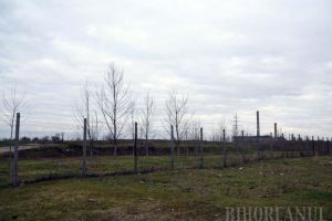 Nu dau seamă! Nutripork evită să răspundă obiecţiunilor orădenilor sătui de duhoarea împrăştiată de ferma din Ioşia