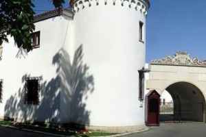 LOVITURĂ pentru FAMILIA REGALĂ. Urmaşii Regelui Mihai PĂRĂSESC Palatul Elisabeta