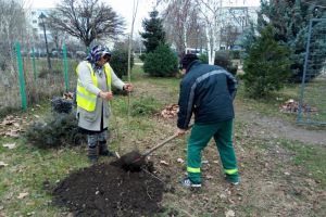 Angajatii SGU au iesit la munca. Vezi ce s-a mai facut prin Ploiesti, in ultima saptamana