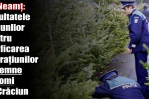 IPJ Neamţ: Rezultatele acţiunilor pentru verificarea operaţiunilor cu lemne şi pomi de Crăciun