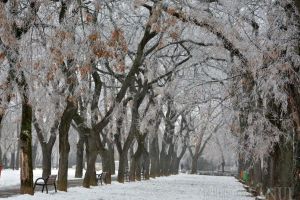 Vine frigul! Avertizare de vreme rea inclusiv în Bihor