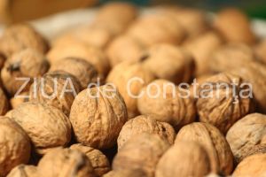 Consumul periodic de nuci proaspete intareste vasele de sange si previne deteriorarea acestora