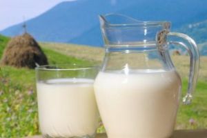 Lapte cu Salmonella pe rafturi. ALERTĂ DE ULTIMĂ ORĂ. Au fost anunţate primele măsuri